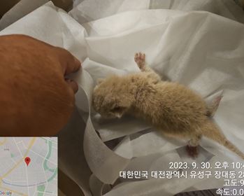 종료(자연사) 한국…